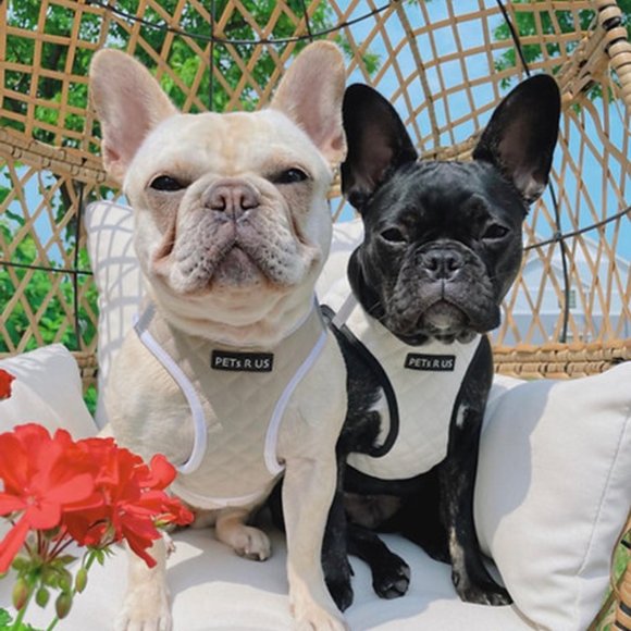 PETsRUS Step In Vest Dog Harness Quilted Vegan Leather White Black Reflective - Picture 7 of 10